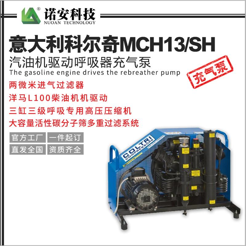 意大利科爾奇MCH13/SH汽油機驅動(dòng)呼吸器充氣泵